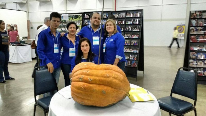 29ª CONFERÊNCIA DISTRITAL - D. 4770