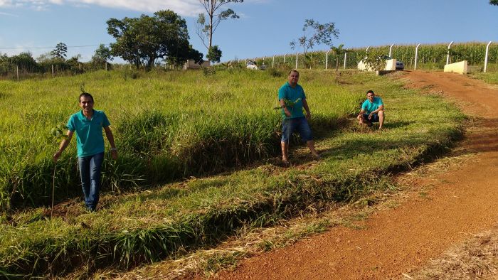 PLANTIO DE MUDAS PARA RECUPERAÇÃO DE NASCENTE.