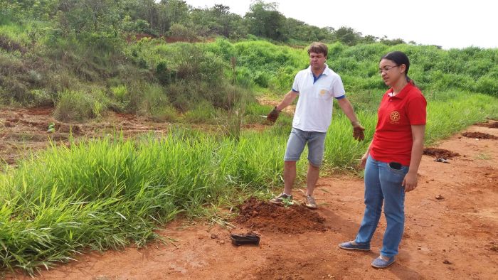 PLANTIO DE MUDAS