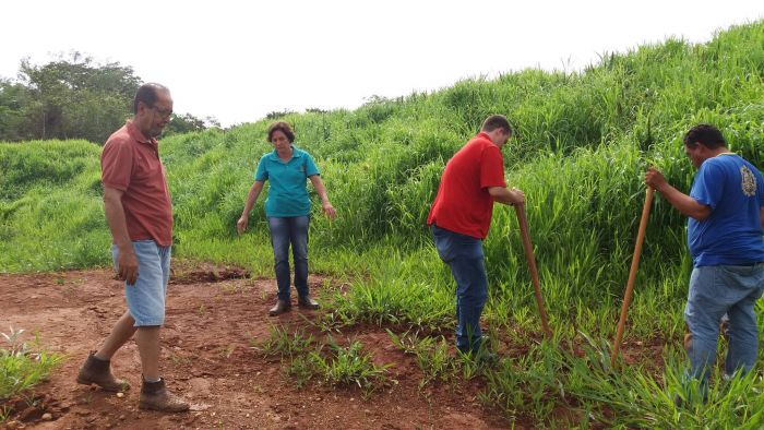 PLANTIO DE MUDAS