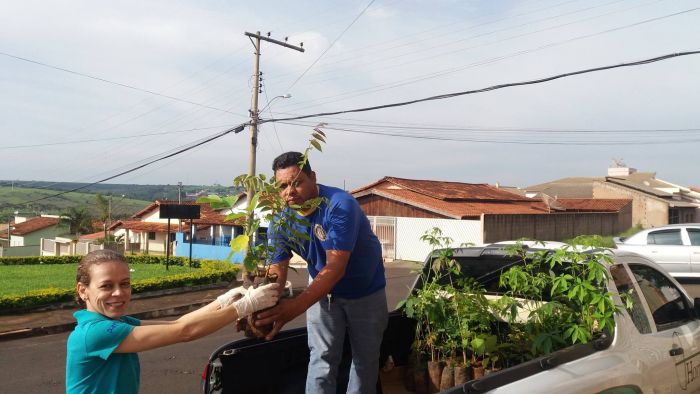 PLANTIO DE MUDAS