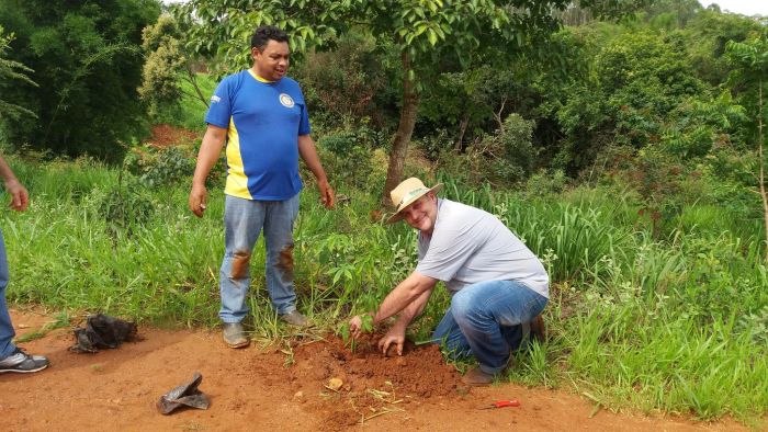 PLANTIO DE MUDAS