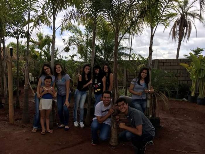 SMI - MEIO AMBIENTE